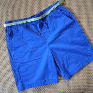 GAP Blue Shorts with Navy Accents